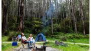 Campfire at Lake Elizabeth Great Otway National Park