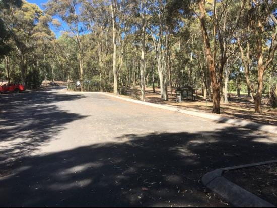 Spotted Gum car park at Lysterfield Park.