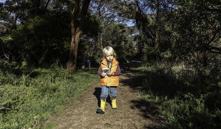 Kids walks at Coolart Historic Area