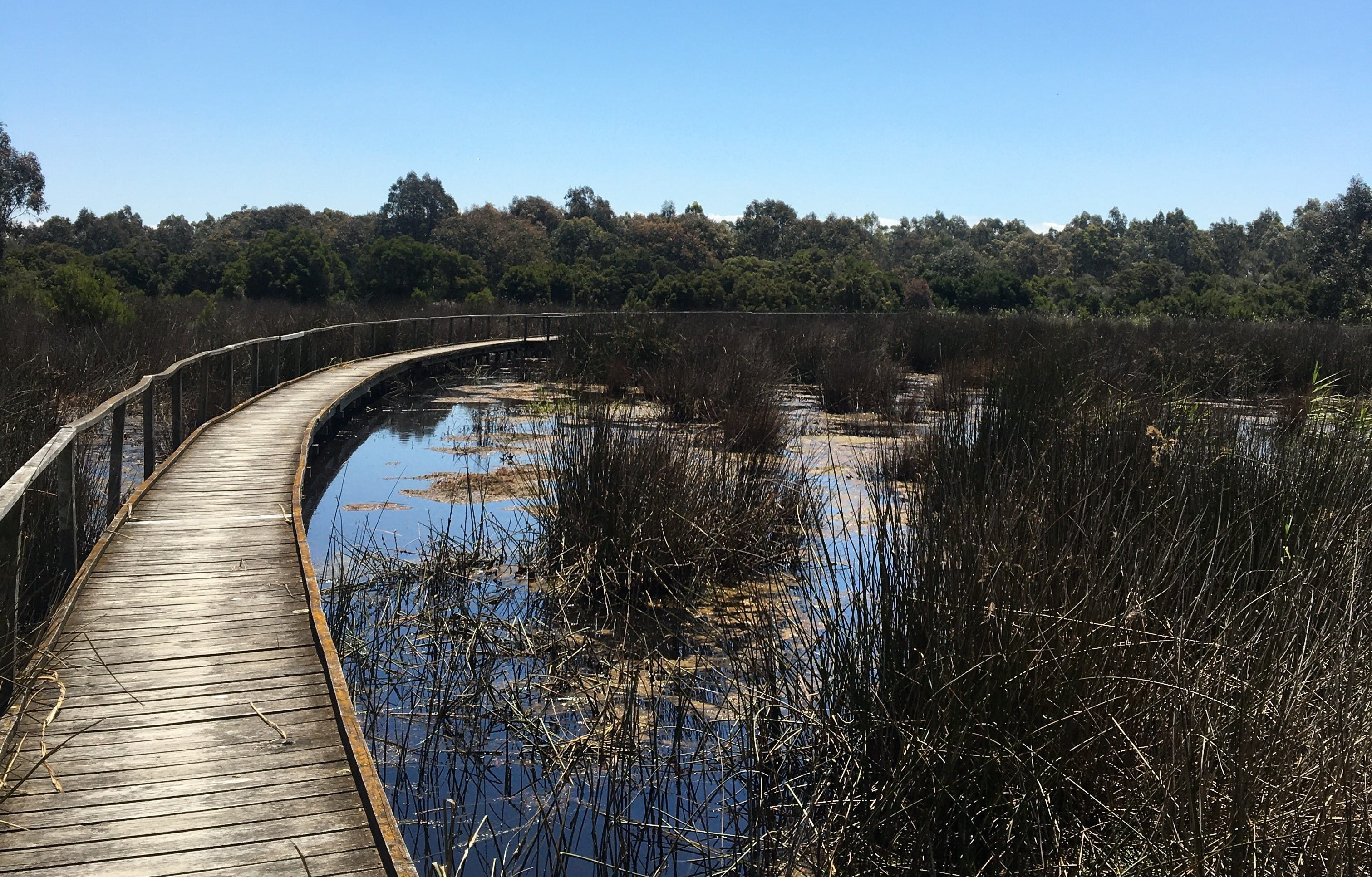 Sale Common Boardwalk