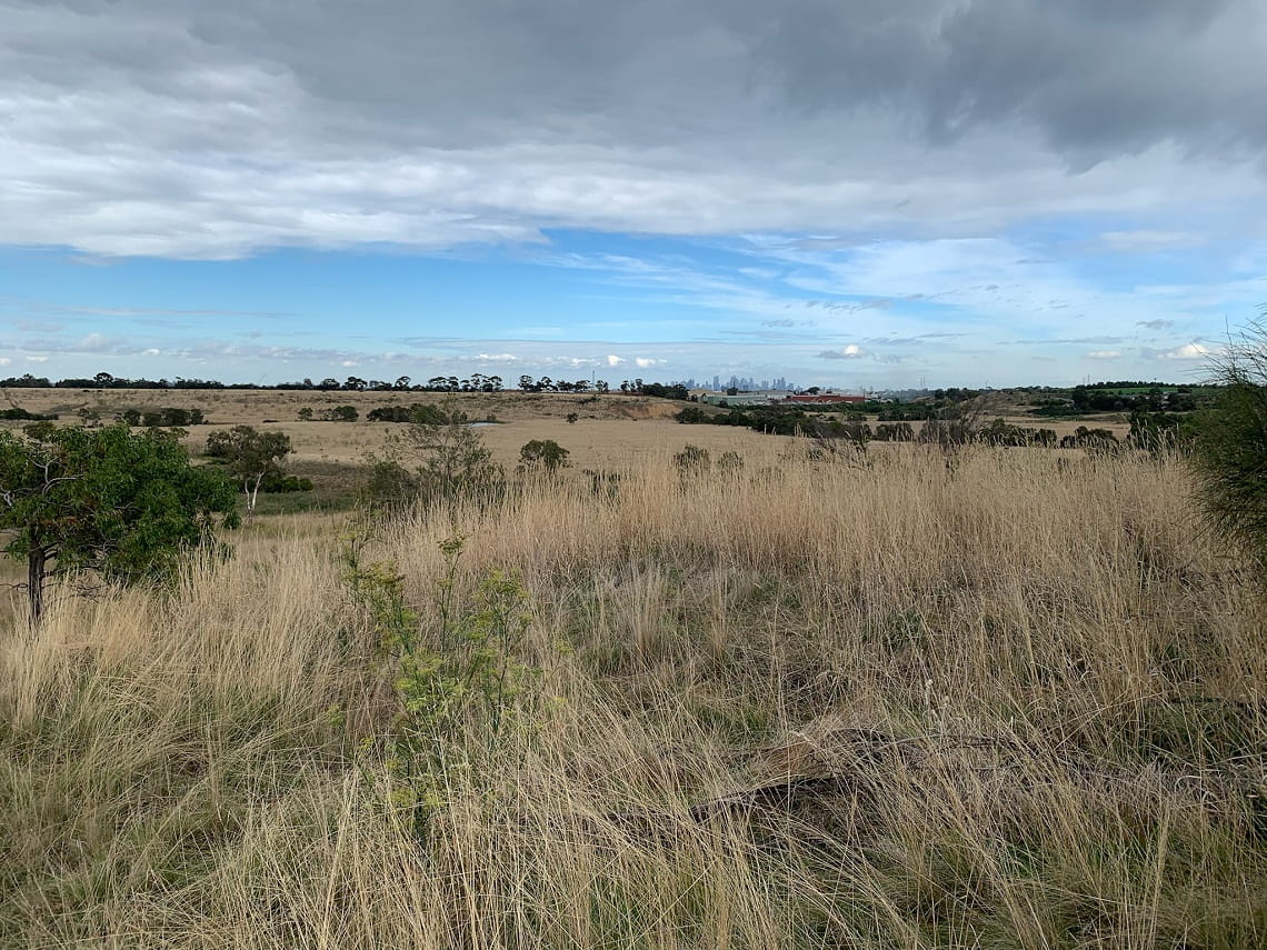 A view of galada tamboore from the west. Grasslands are in the foreground, with a cloudy blue sky above. The city skyline of Melbourne can be faintly seen in the distance.