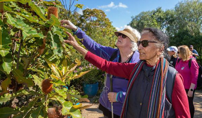 Two women wearing dark glasses reaching out and touching leaves on a tree with their hands.