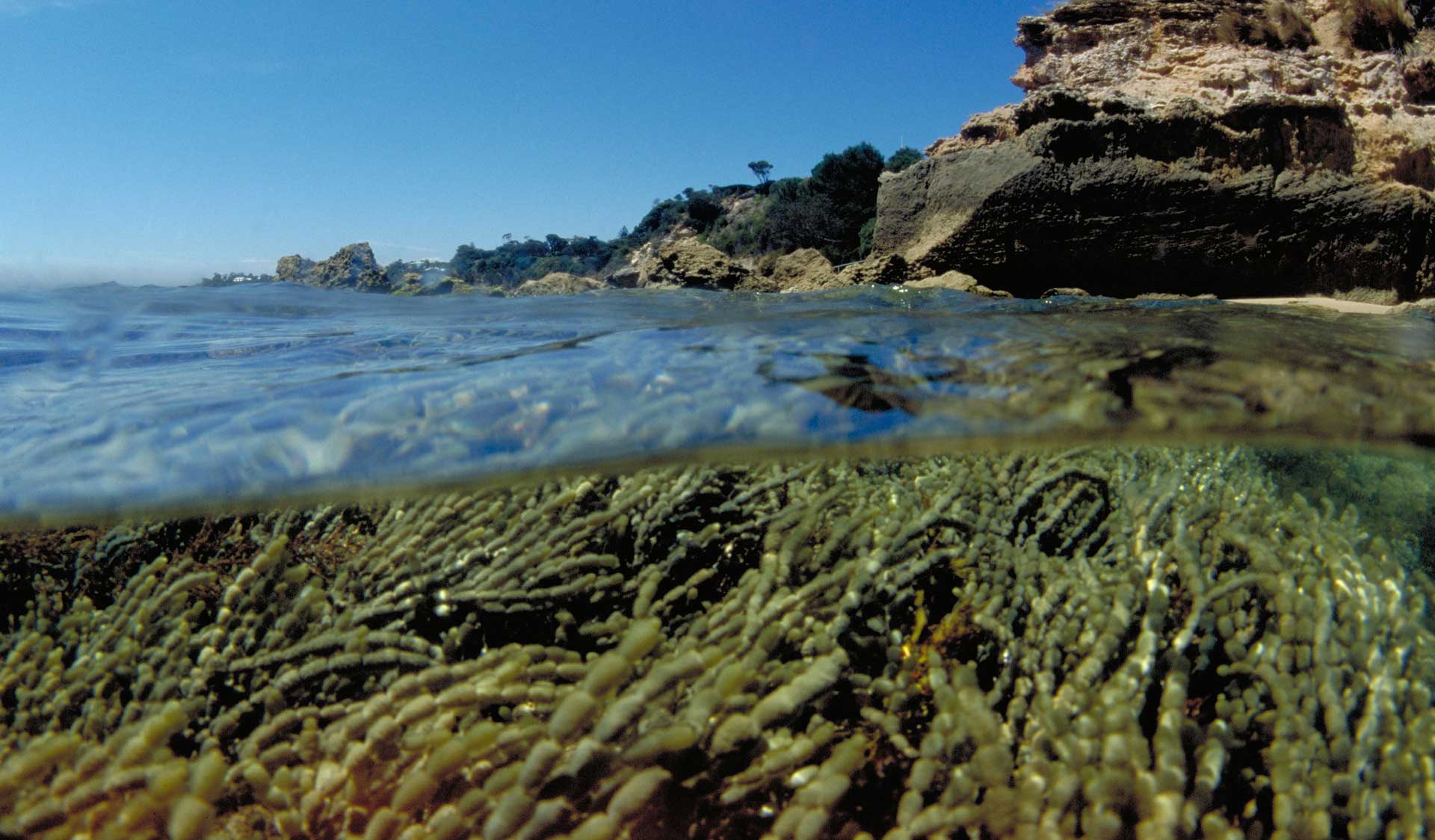 Port Phillip Bay