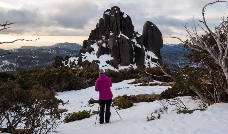 Person standing with tripod in the snow at Cathedral and Hump Track in Mount Buffalo National Park