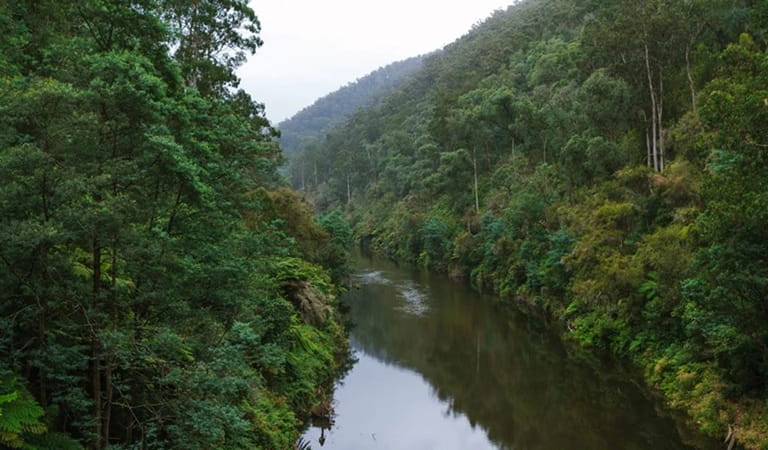 Walhall Historic Area