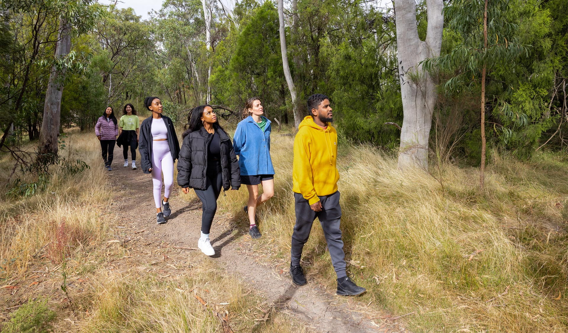 A group of people walking along a path surrounded by trees.