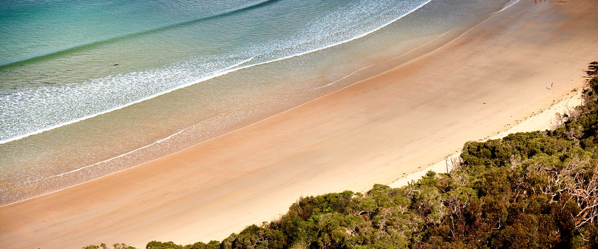 An aerial view of a turquoise waves and a white sandy beach. Bushland lines the edge of the beach.