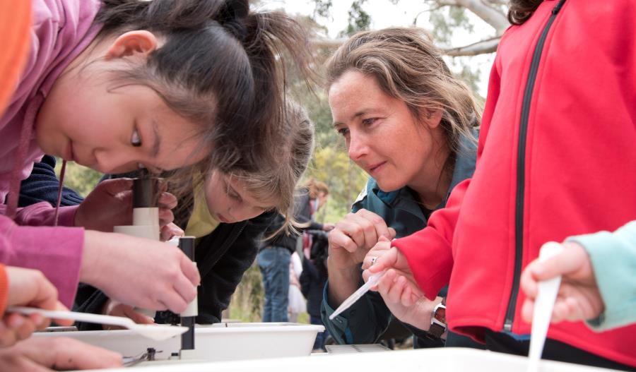 Year 5 and 6 students conduct a survey under the supervision of a Parks Victoria ranger.