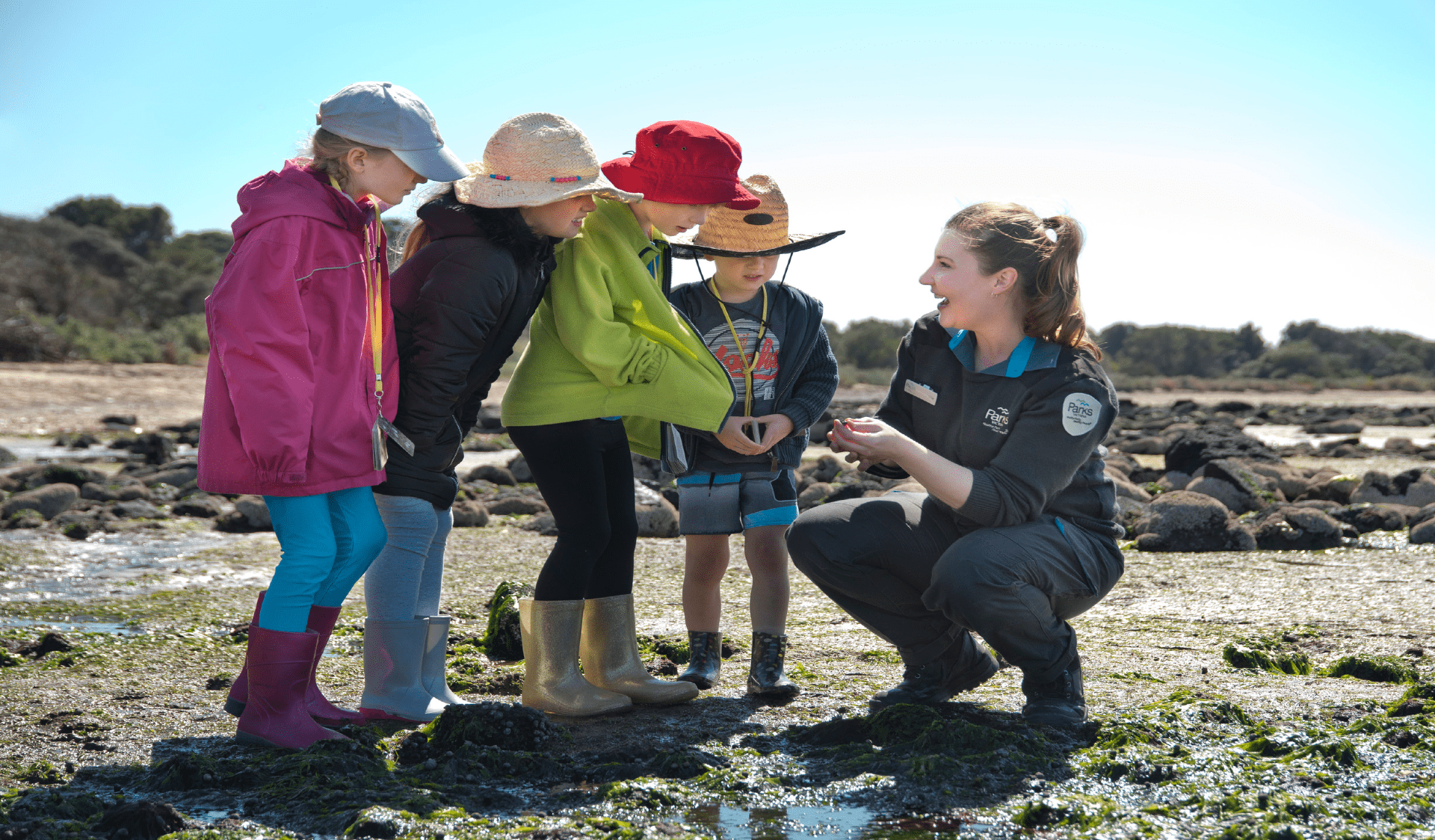 Ranger crouching next to rock pool showing four Junior Ranger children a shell