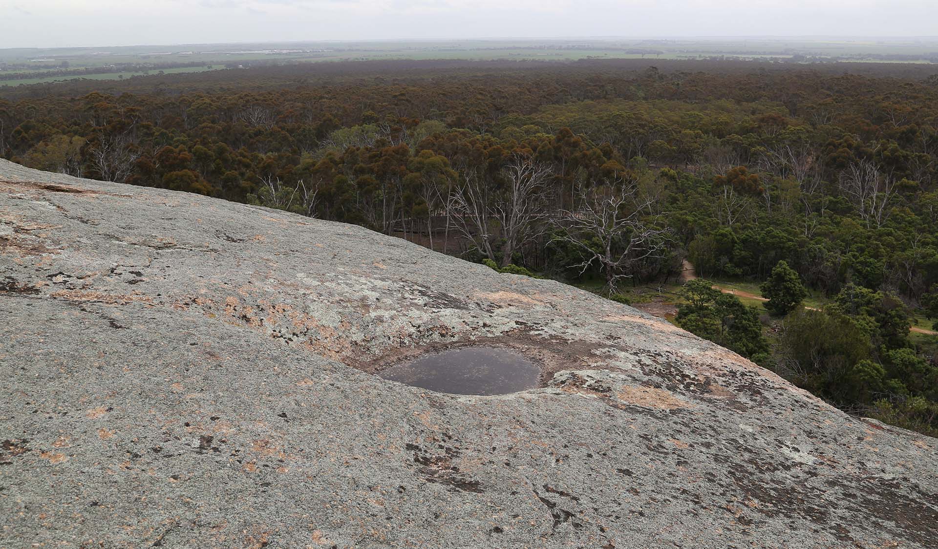 A rocky outcrop with a large circular shape carved out of the surface. The shape is filled with water.