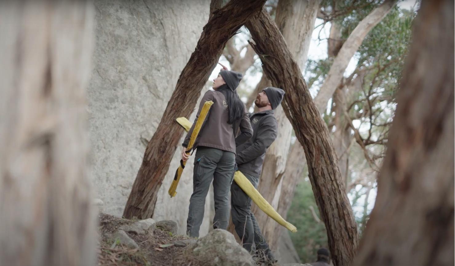 Two uniformed rangers survey a rugged bushland landscape