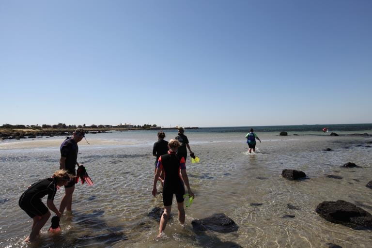Snorkellers walking on the sand within the park