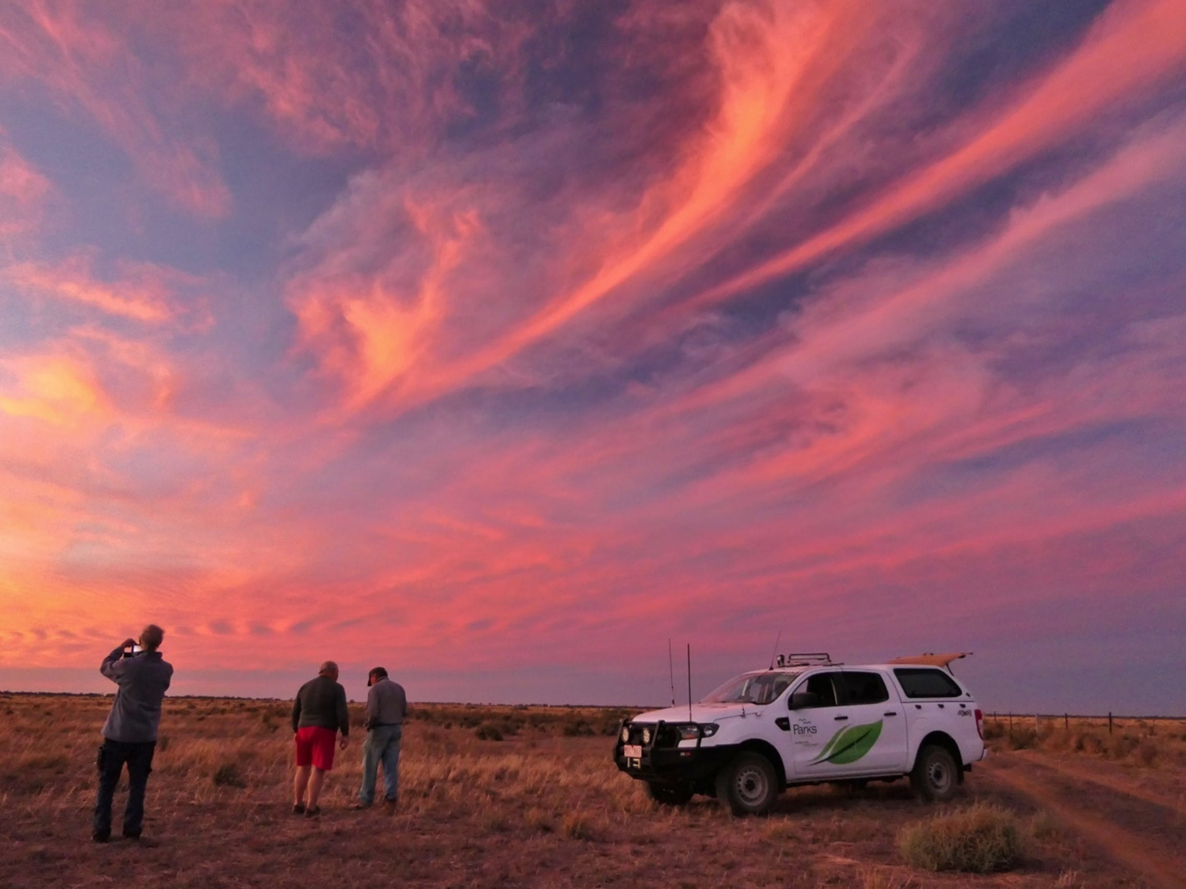 A pink sky illuminates behind a white car and people stepping out onto the grass