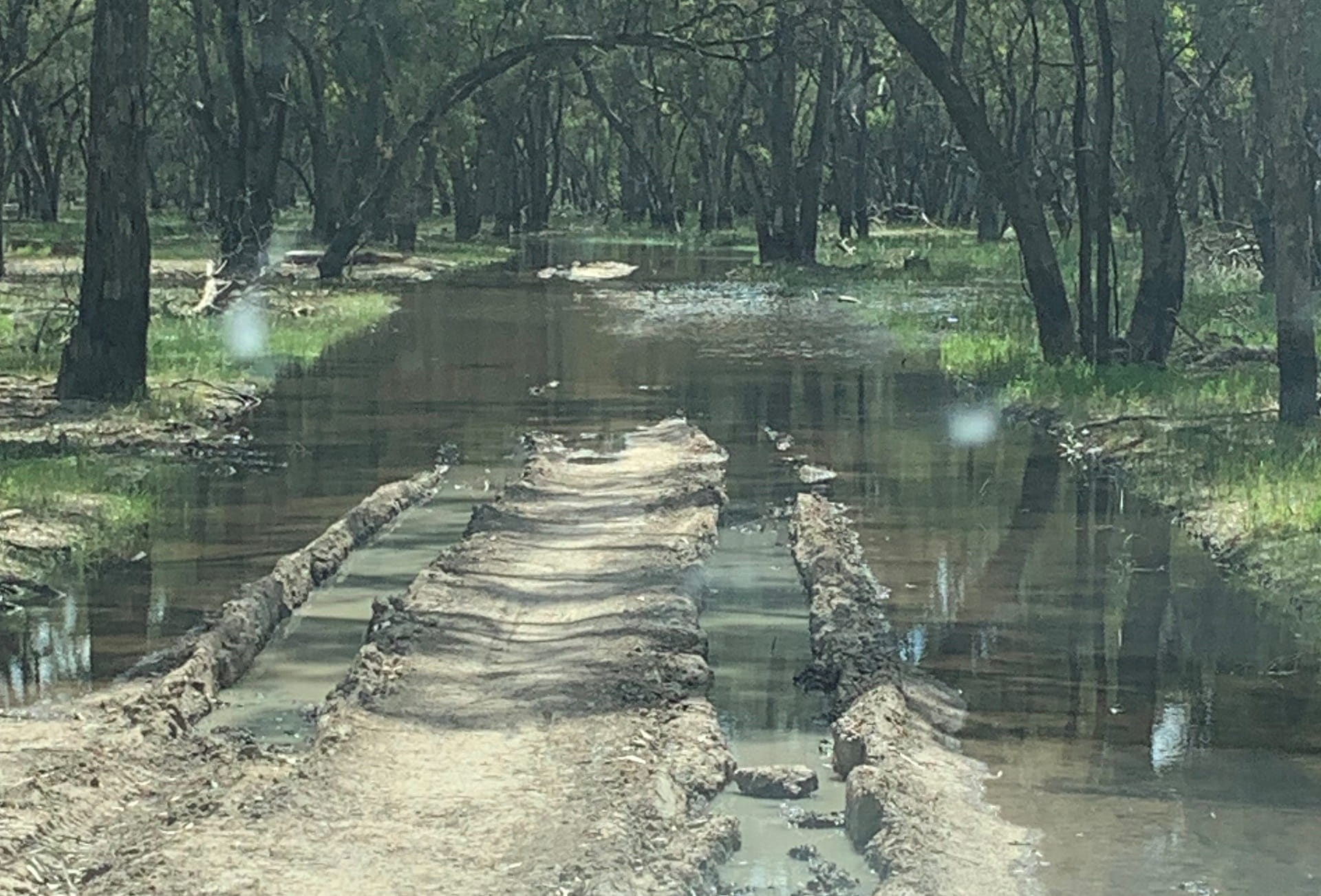 Deep ruts created by people driving illegally on fire management tracks in Gunbower National Park