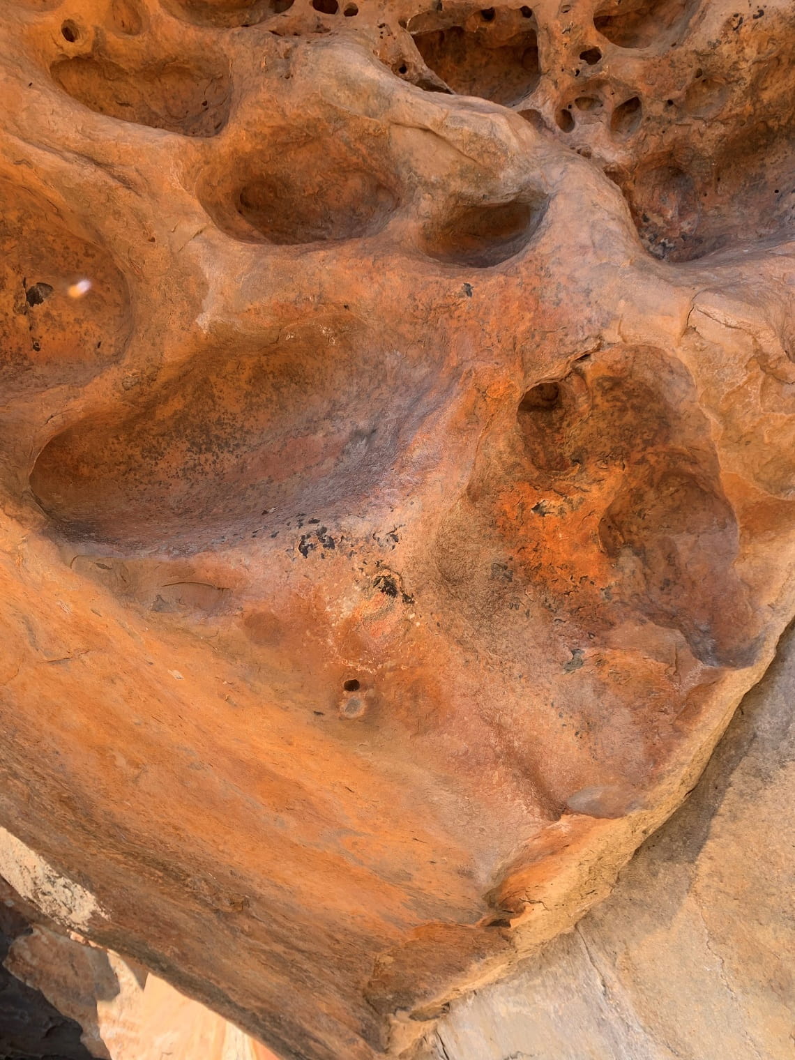 Rehabilitation work in Cultivation Creek 19 Rock Art shelter shows a patched climbing bolt hole.