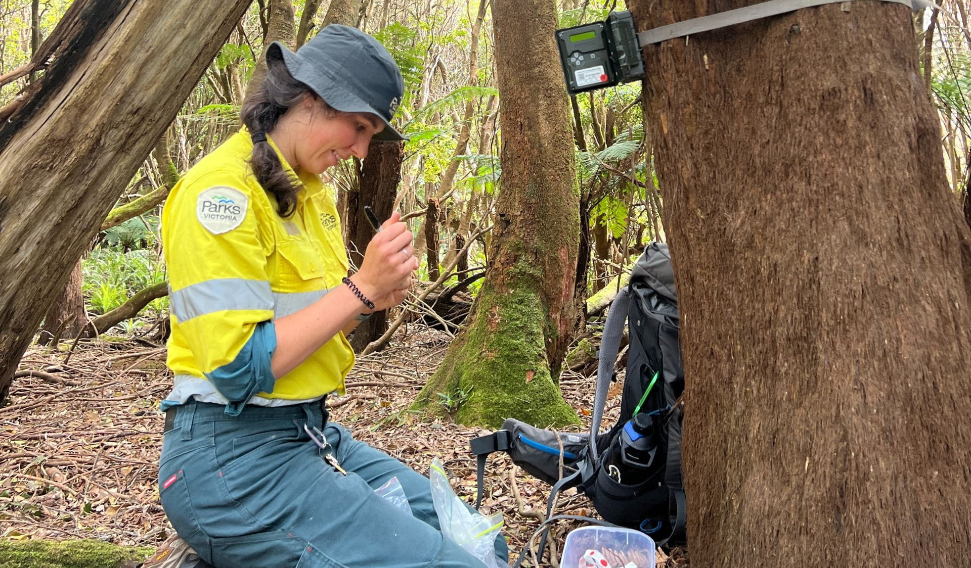 Deer Monitoring in Wilsons Promontory National Park