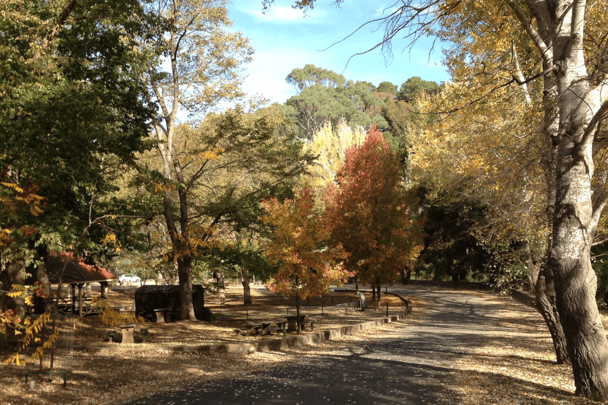 Vaughan Springs during autumn, Castlemaine Diggings National Heritage Park.