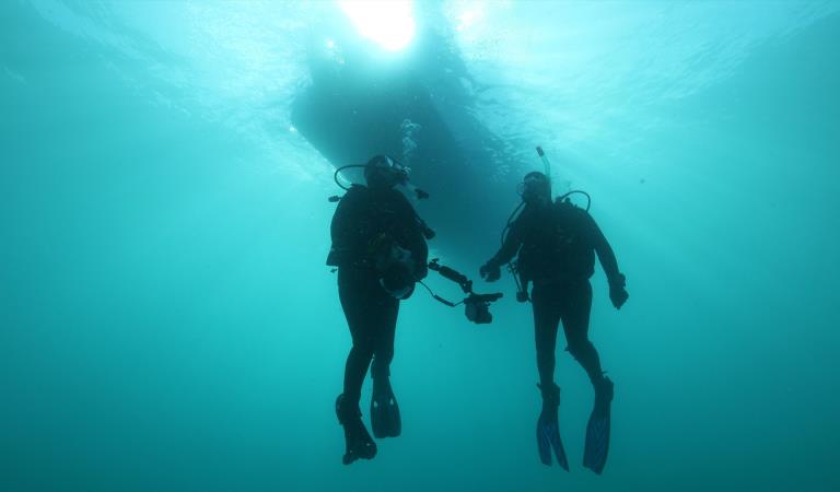 Divers underwater