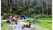 Camping in Great Otway National Park