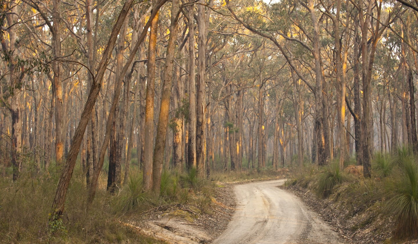 Woowookarung Regional Park.