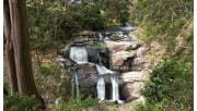 The waterfall at Agnes Falls Scenic Reserve