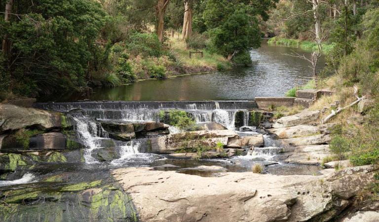 The waterfall at Agnes Falls Scenic Reserve