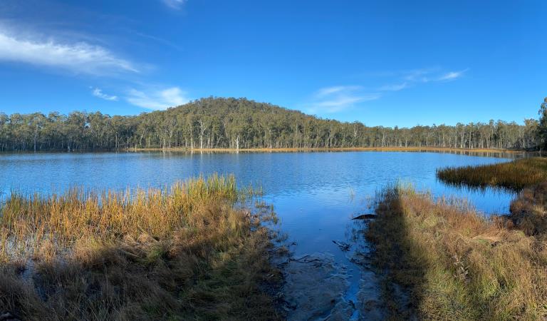 A wide view of Lake Cobbler under a blue sky. 