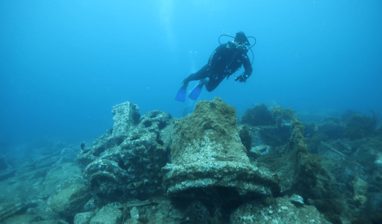 A diver exploring Beware Reef Marine Sanctuary