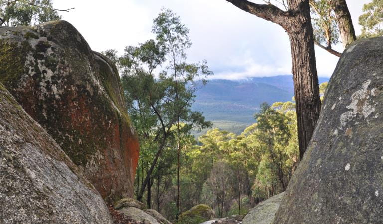 Four Brothers Rock Bunyip State Park