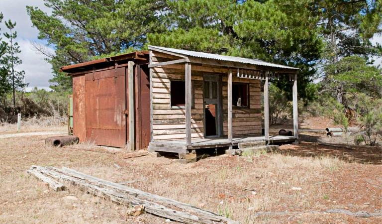 Forest Creek Goldmine in Castlemaine Diggings National Heritage Park