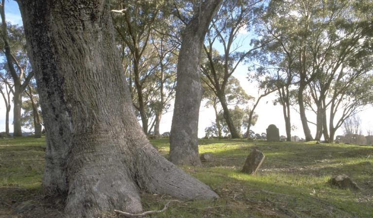 Pennyweight Children's Cemetery in the Castlemaine Diggings Heritage Area