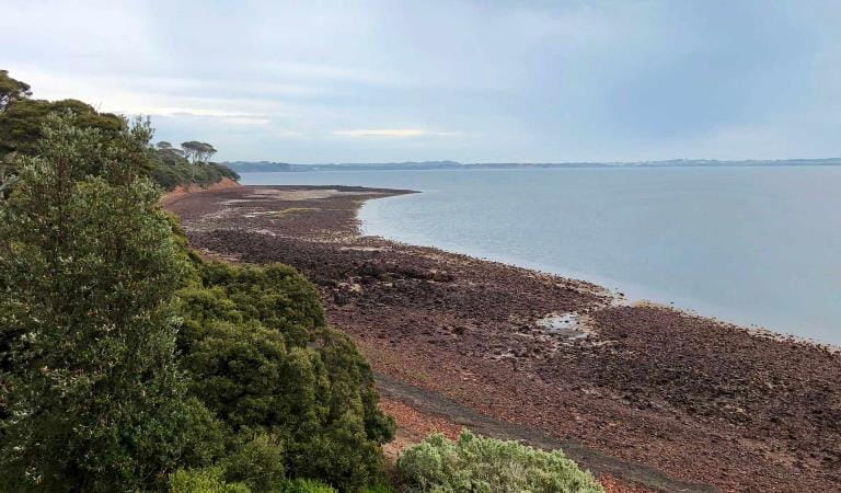 A beach at Churchill Island Marine National Park