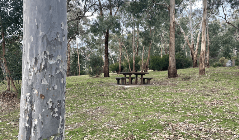 A picnic table in Churchill National Park