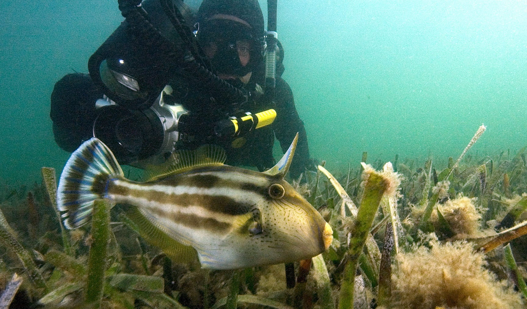 Corner Inlet Marine National Park
