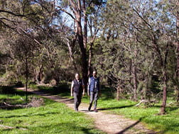 Two friends walk along the Woodlands Walk at Dandenong Police Paddocks Reserve