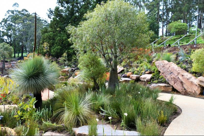 Chelsea Australian Garden at Olinda under construction October 2022_2