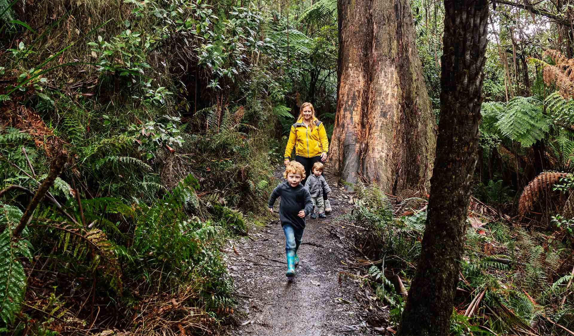 A three year old boy leads his mum and younger brother through the forest near Grants Picnic Ground.