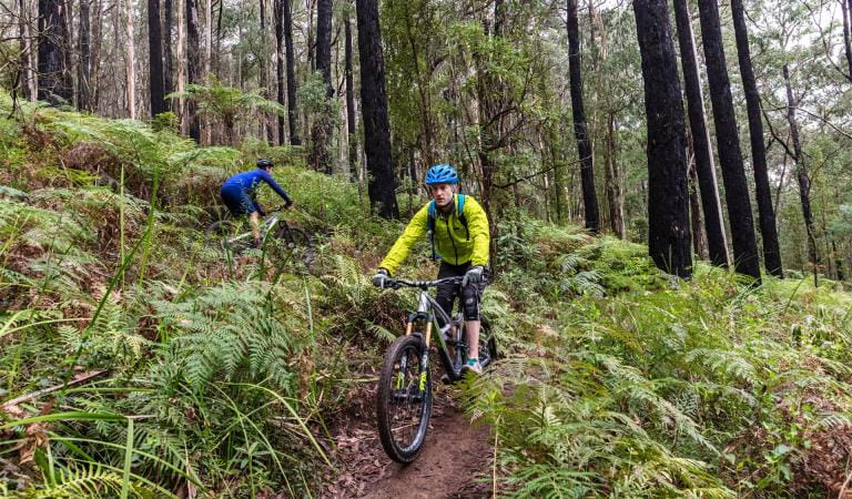 Two men mountain biking at Silvan Reservoir, Dandenong Ranges National Park.