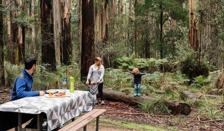 A mother and her two sons play on a log while her partner sits at a picnic table looking on.