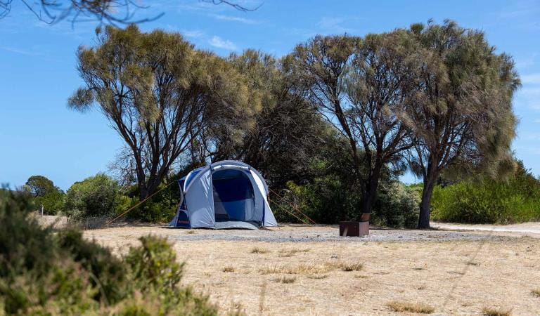 A tent set up next to trees at Lake Monibeong at Discovery Bay Coastal Park