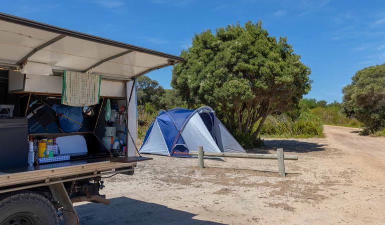 A tent set up next a medium tree and framed by the canopy of a ute at Swan Lake Campground at Discovery Bay Coastal Park