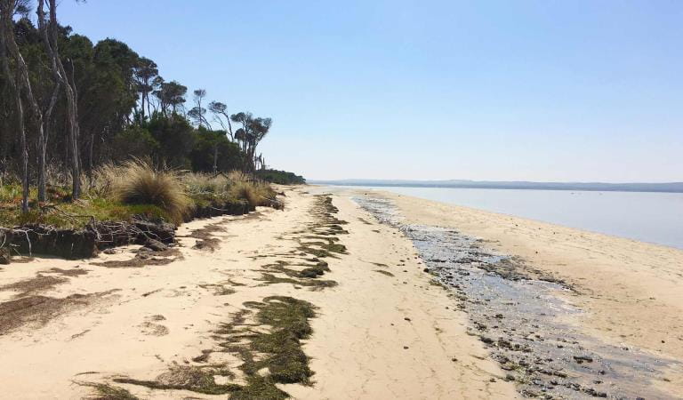 A picturesque beach at French Island National Park