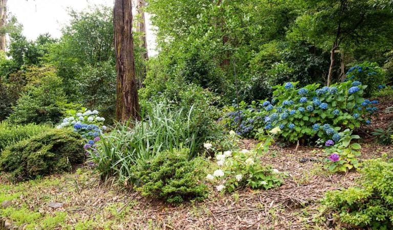 George Tindale Memorial Garden