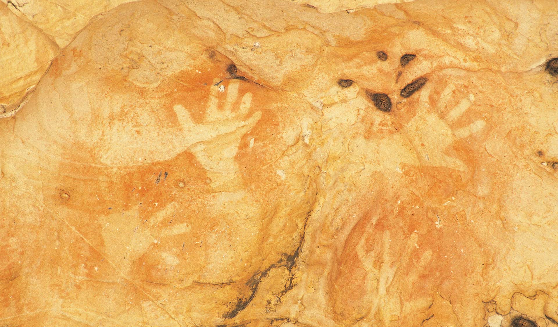 Aboriginal rock art at Gulgurn Manja Shelter in the Grampians National Park.