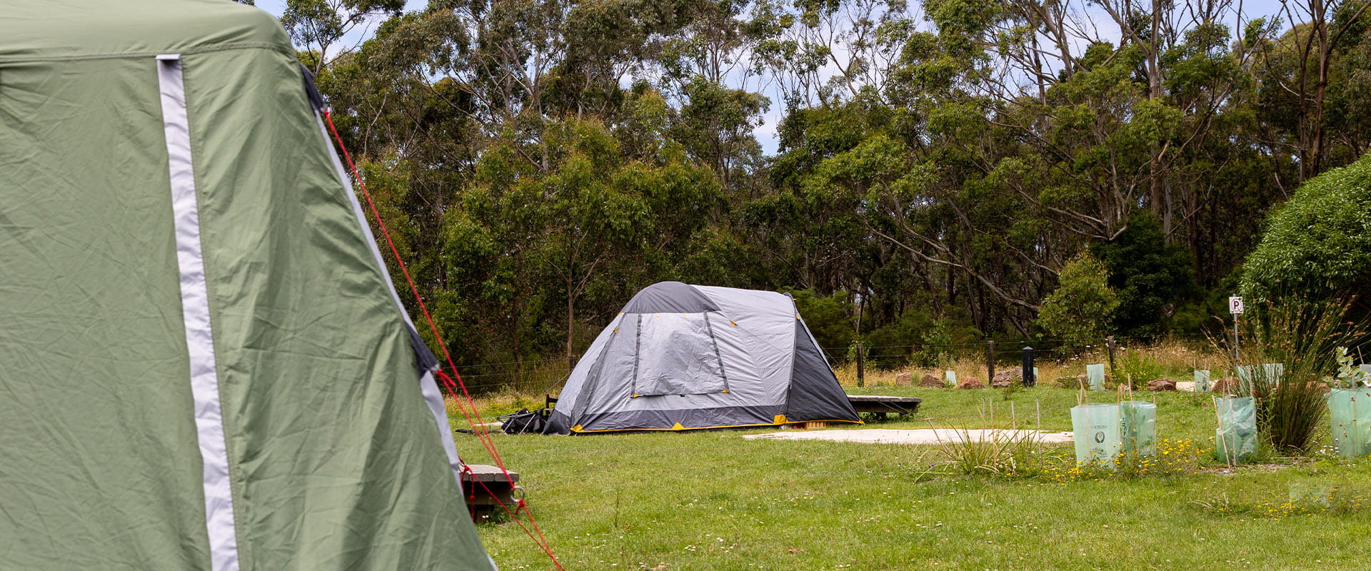 A blue and grey tent setup on a lush green lawn in front of green trees.
