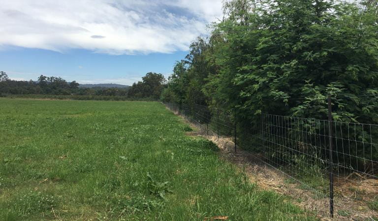 Grass field with fenced off area.