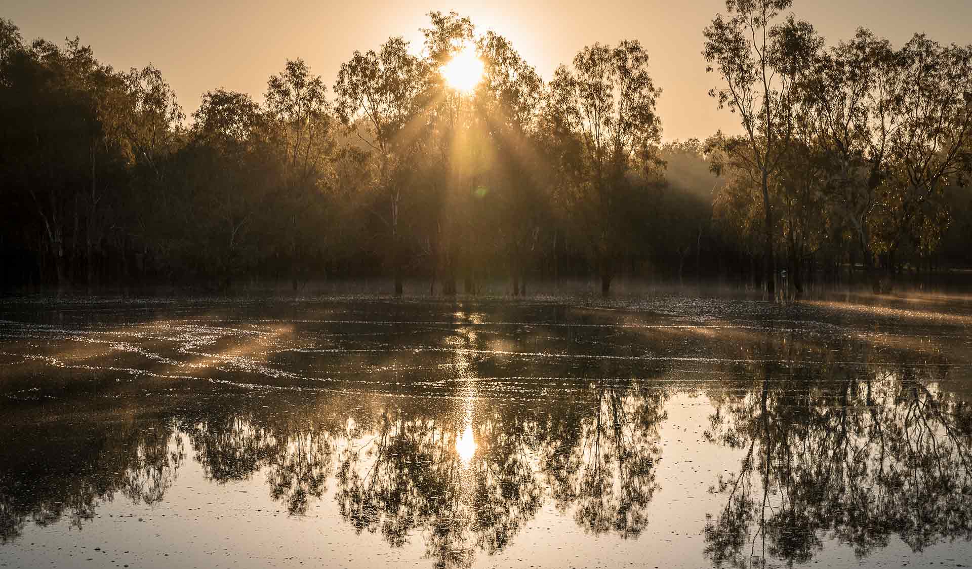 Wetland, Hattah Kulkyne National Park