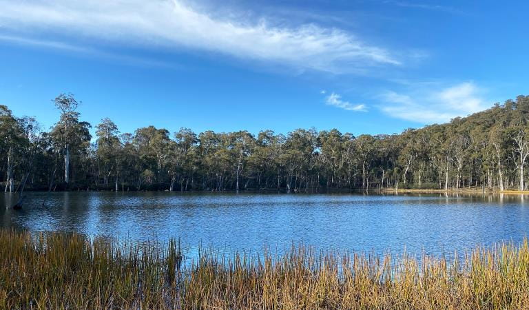Looking over Lake Cobbler, Alpine National Park