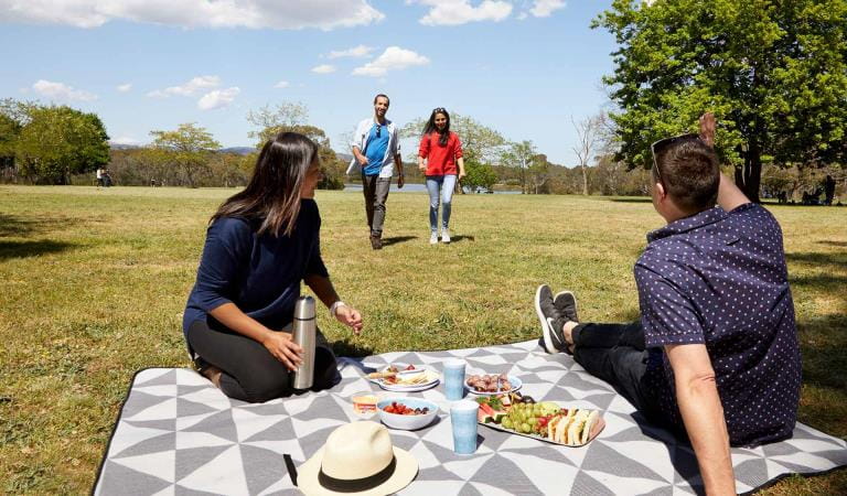 Two friends welcome another couple to share a picnic with them.