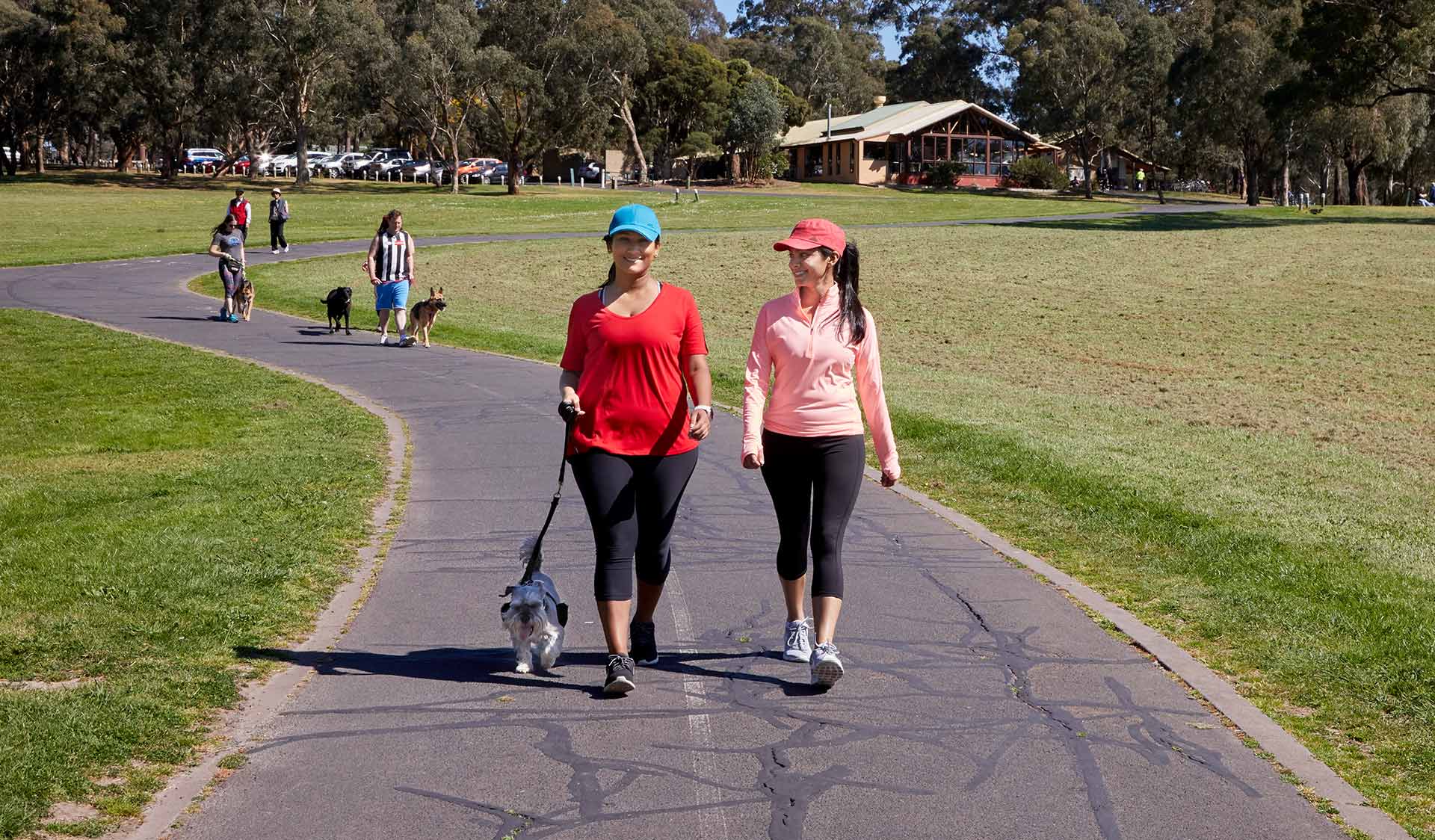 A woman and friend in activewear walking a small dog at Jells Park